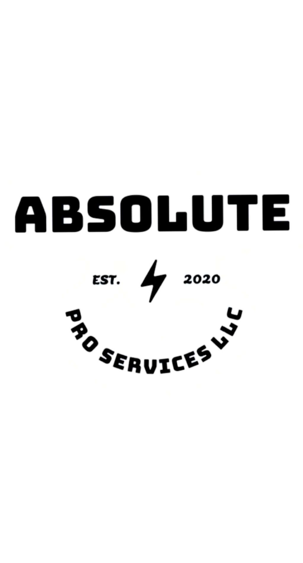 Absolute Pro Services LLC