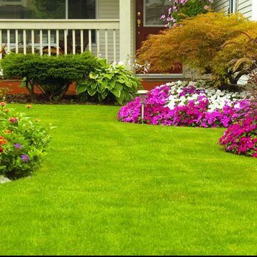 Ace lawn and landscaping service
