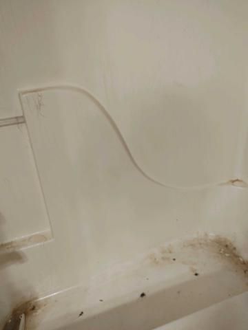 Shower Before2