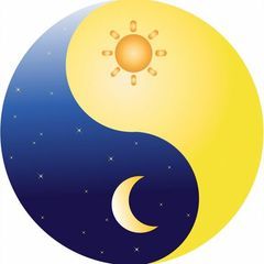 pro avatar