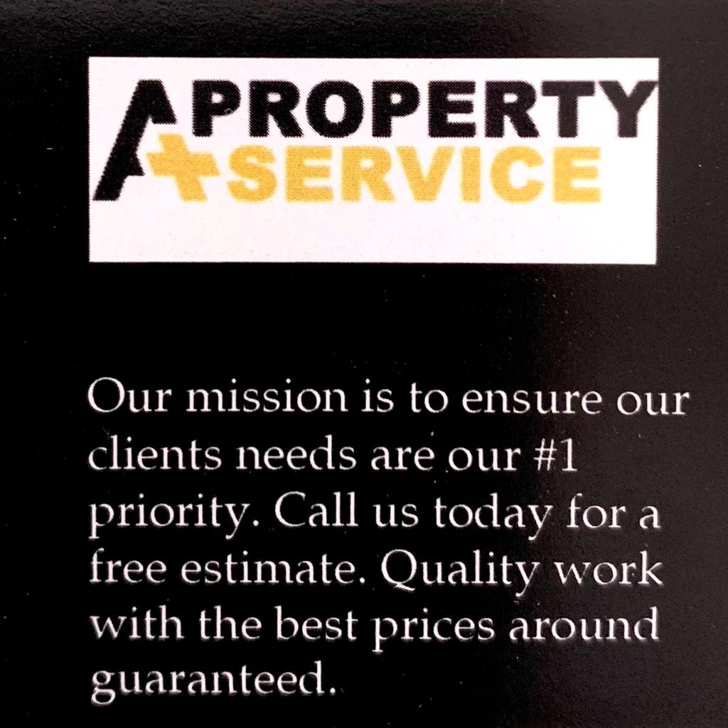A plus property services