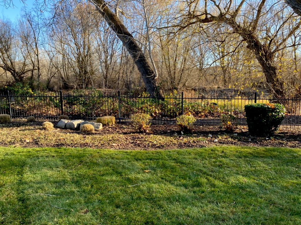 After fall clean up 