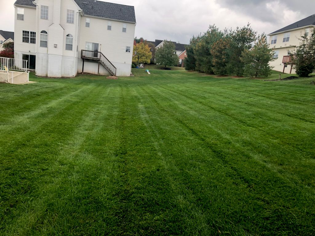 Full Service Lawn Care