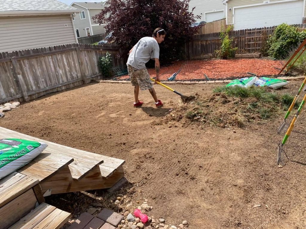 Sod Installation