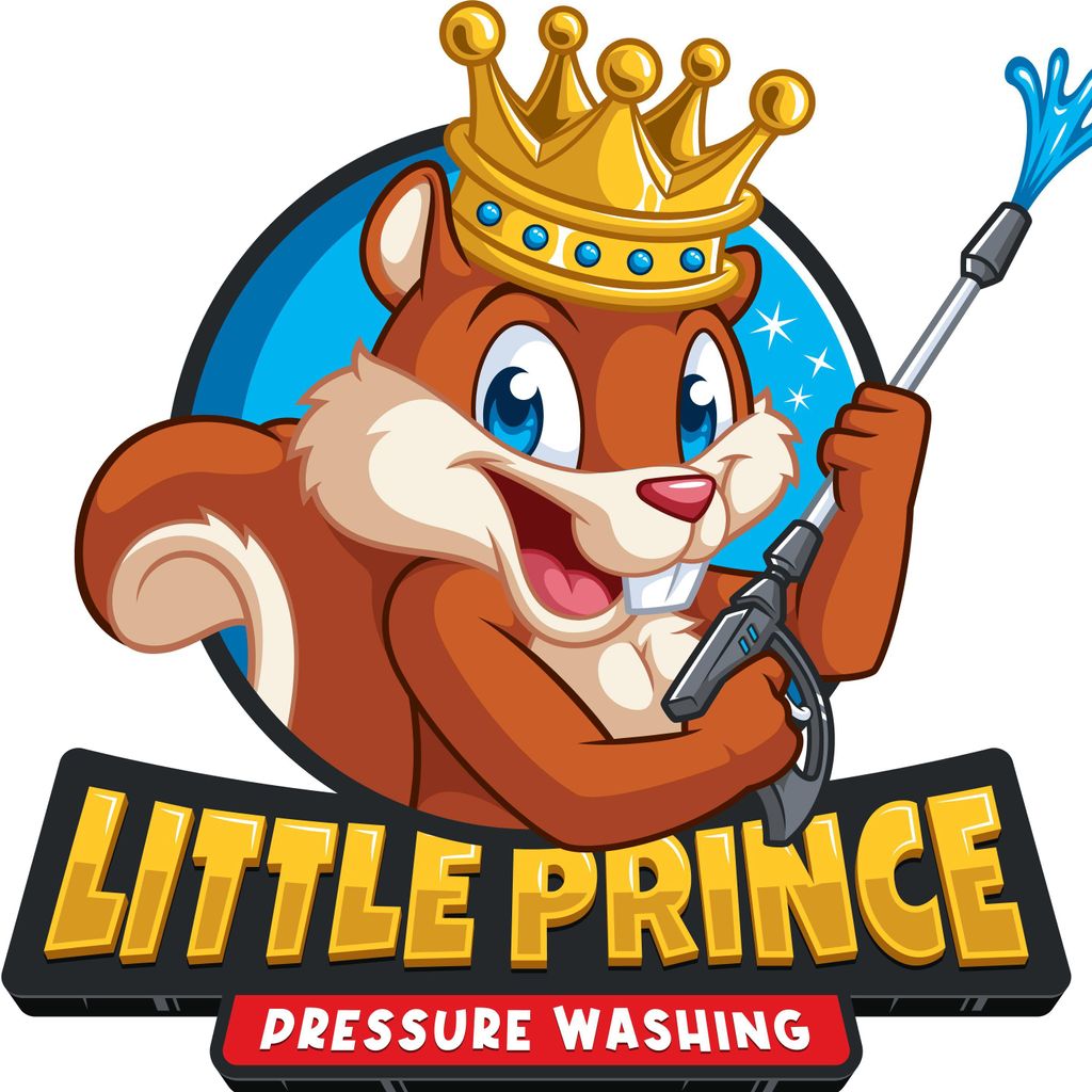 Little Prince Pressure Washing