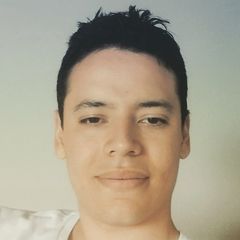 Fabio Montes