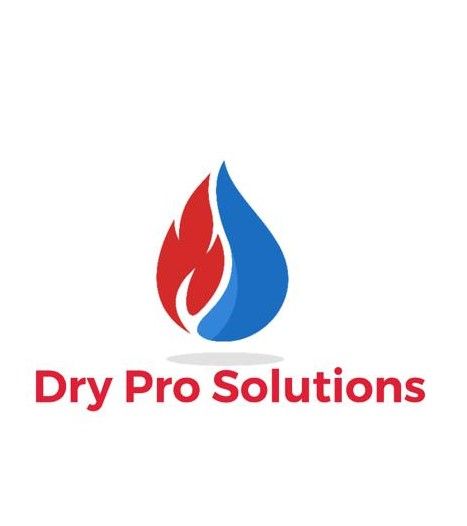 Dry Pro Solutions