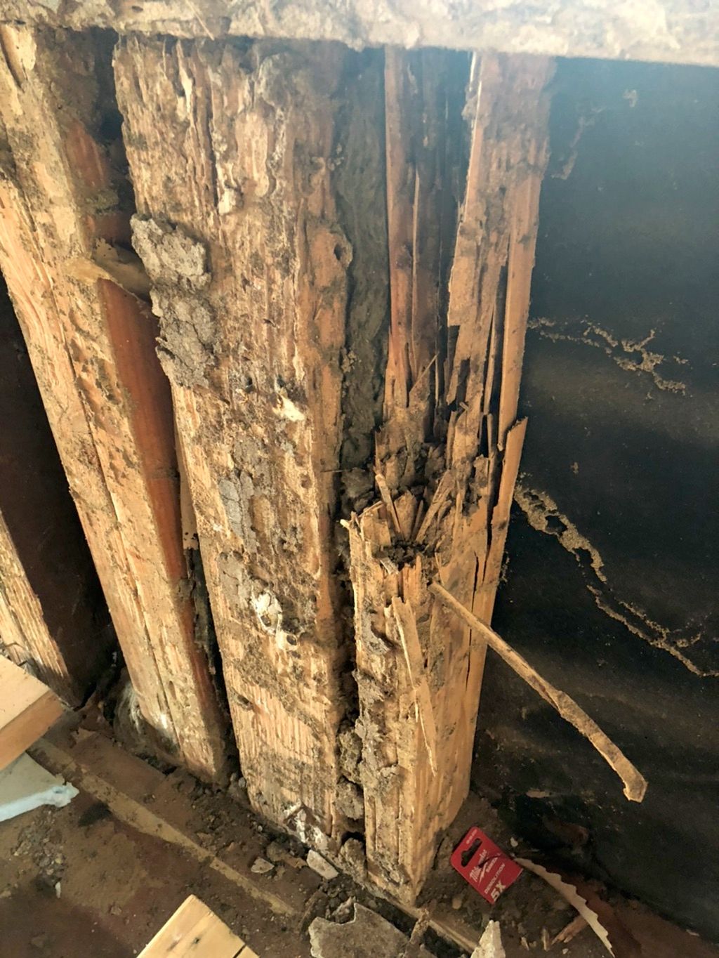 Termite damage 