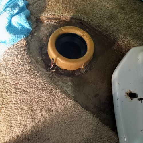 Leaky Toilet Repair