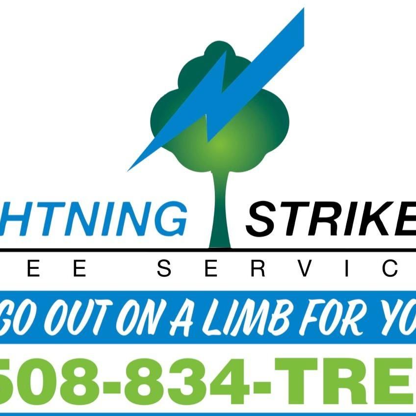 Lightning Strikes Tree And Landscape
