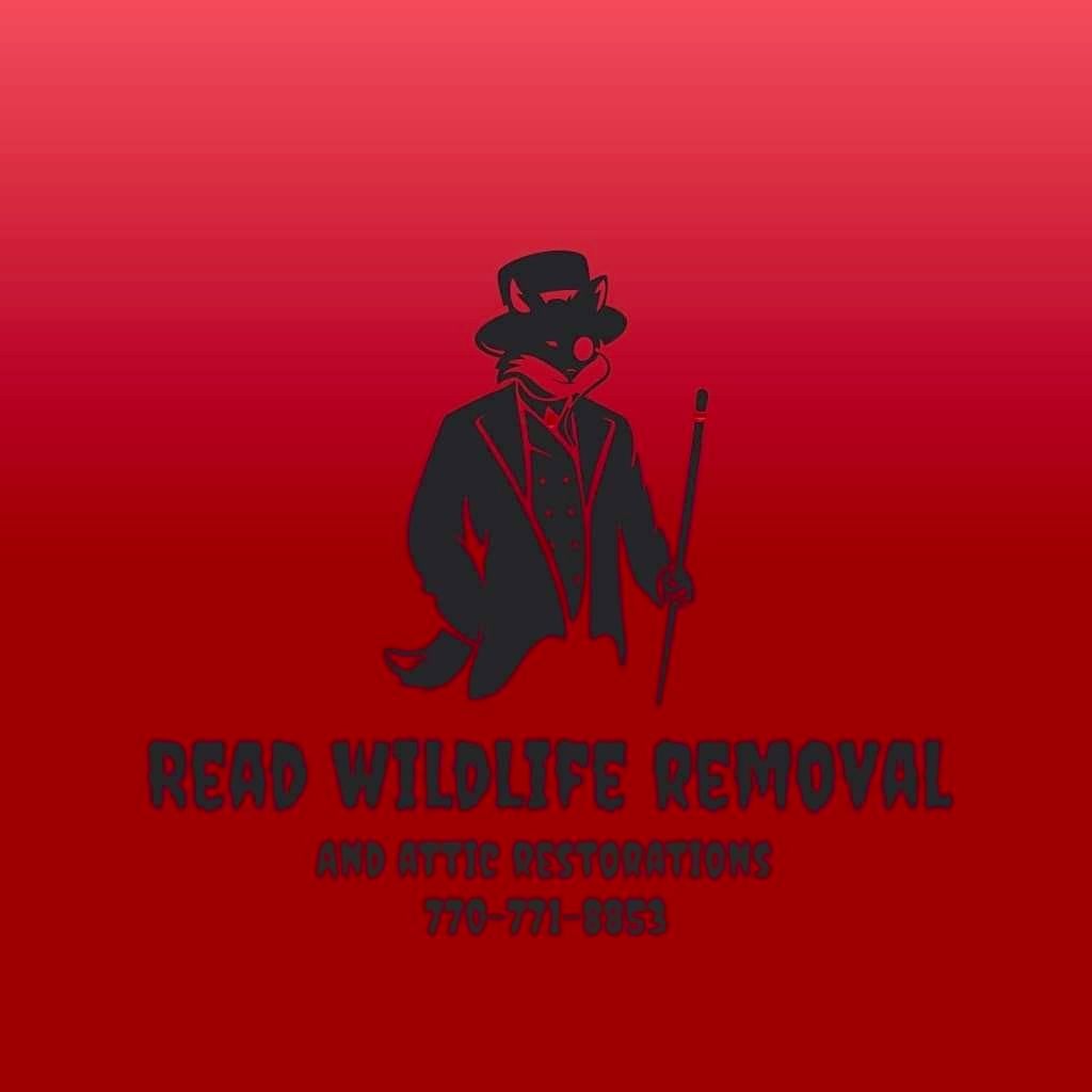 Read Wildlife Removal