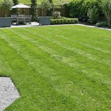 Central Valley LawnCare & Pressure washing