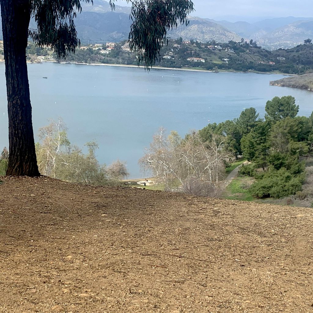 Bona Terra Landscape Inc
