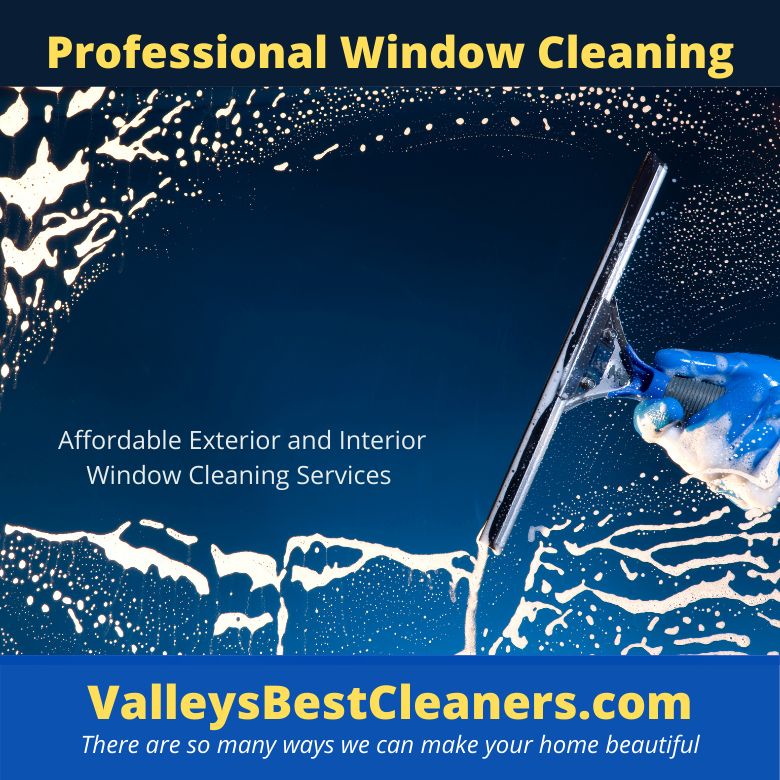 Window Cleaning Services