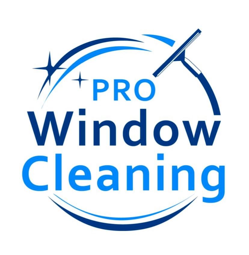 Pro Window Cleaning