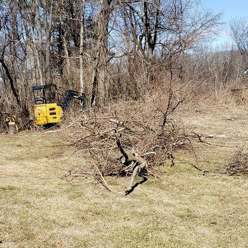 Land Clearing Lot