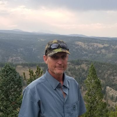 Avatar for Brightwork Electrical Services