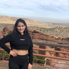 pro avatar