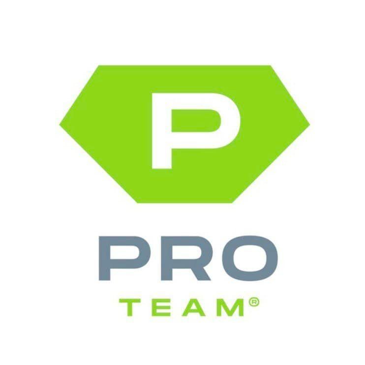 The Pro Team Appliance Repair