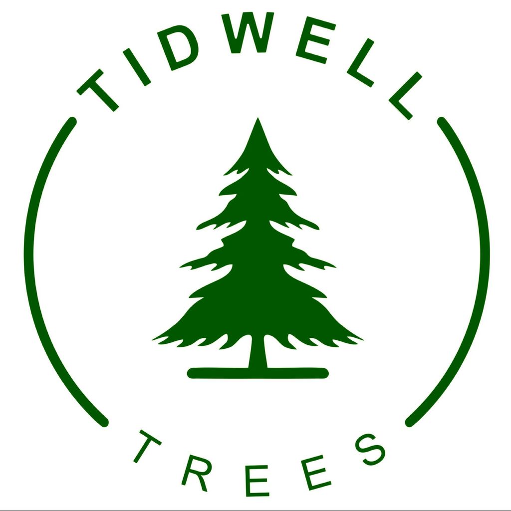 Tidwell Trees