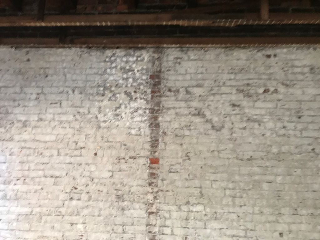 Plaster removal 