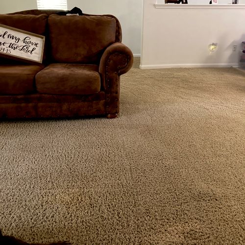 Very easy to book and schedule 
Carpet looks great
