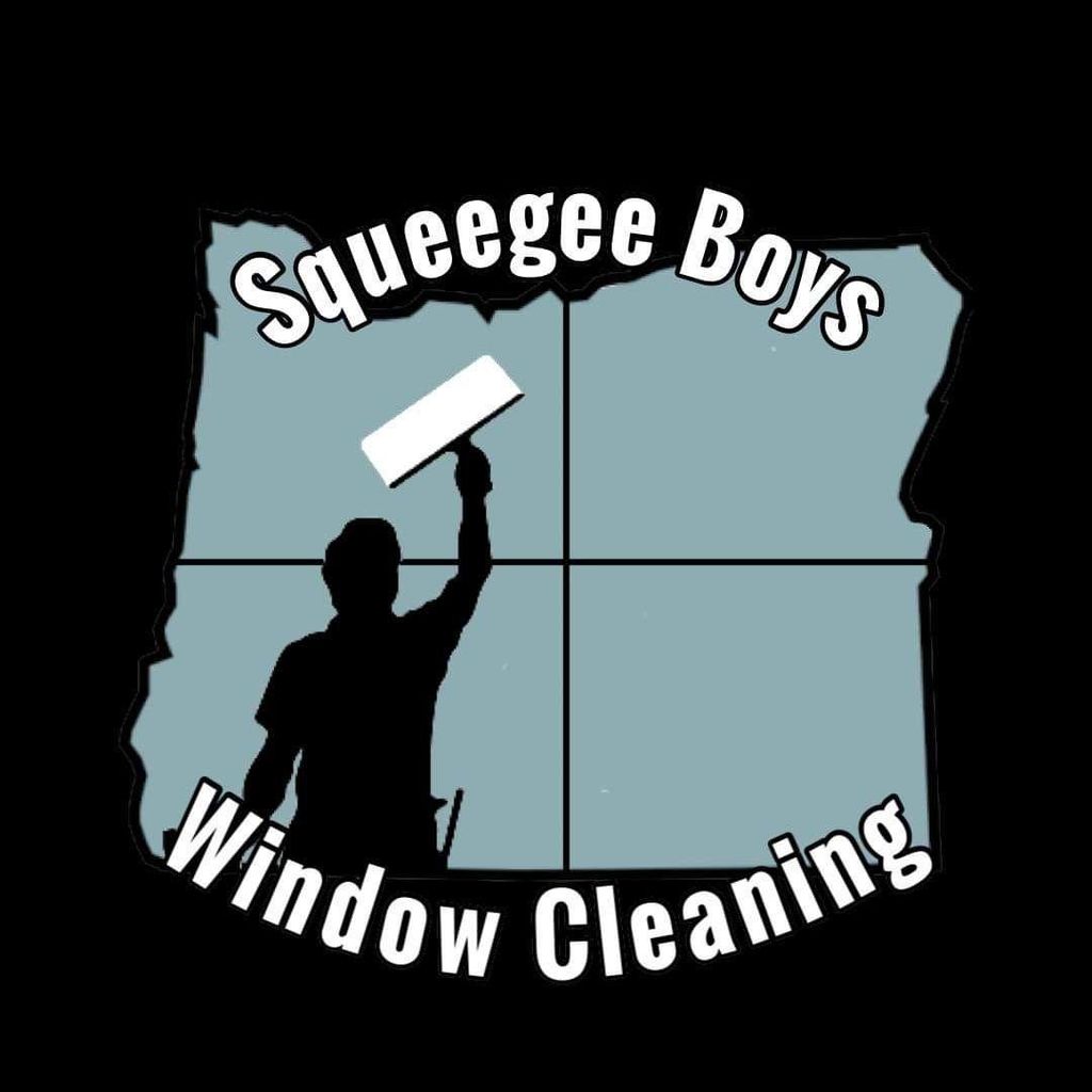 Squeegee Boys Window Cleaning