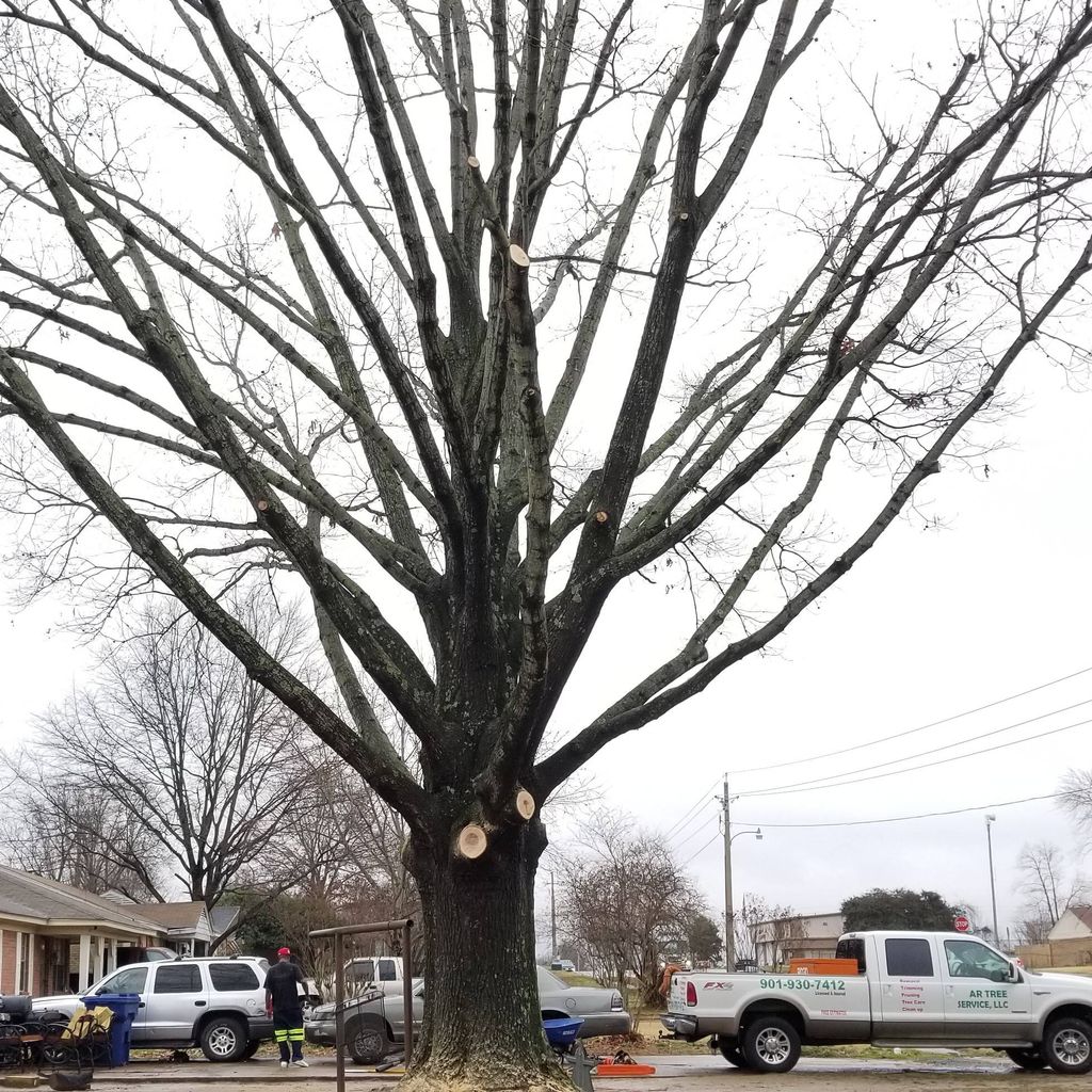 AR Tree Services Llc