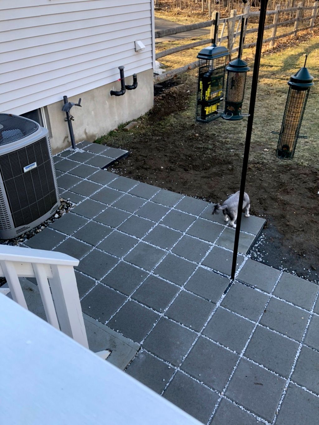 Customer photos