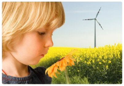 Green Services and Products