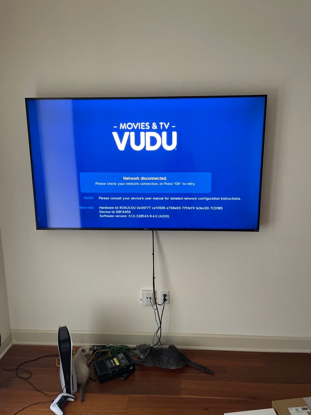 Projects and media