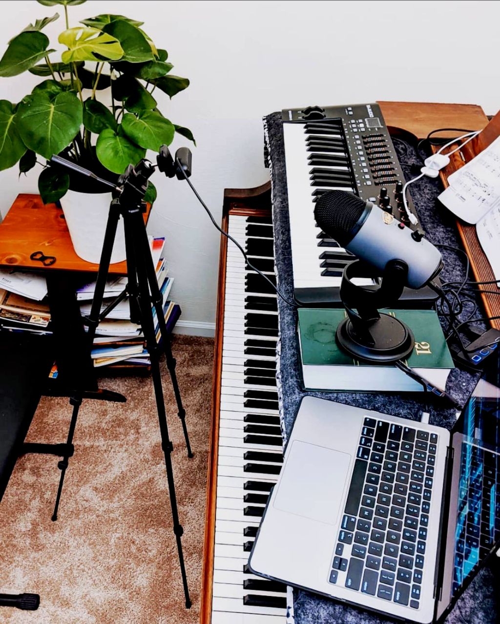 Projects and media