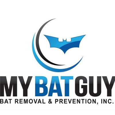 Avatar for My Bat Guy
