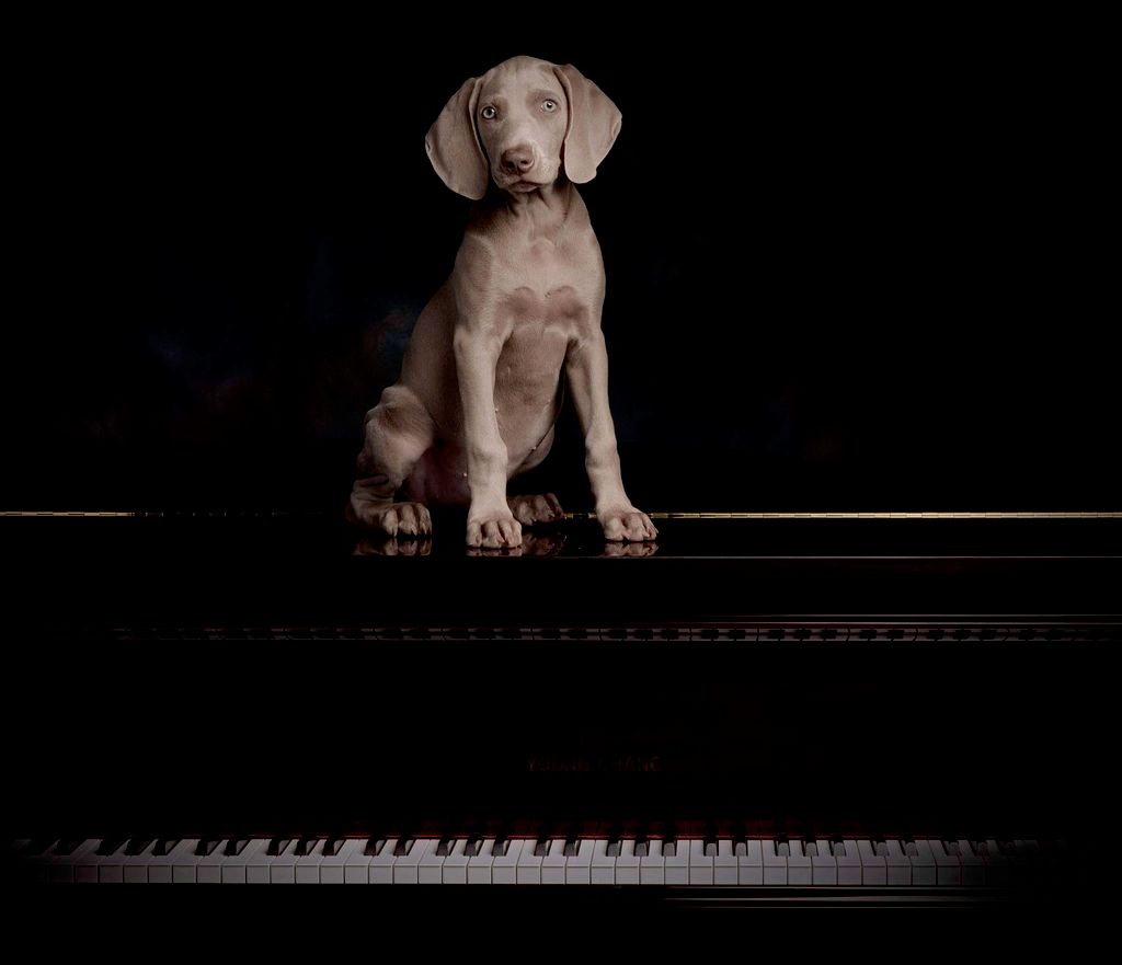 Alex did a fantastic job tuning up my grand piano.