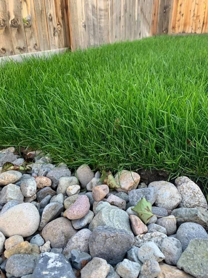 Sod Installation