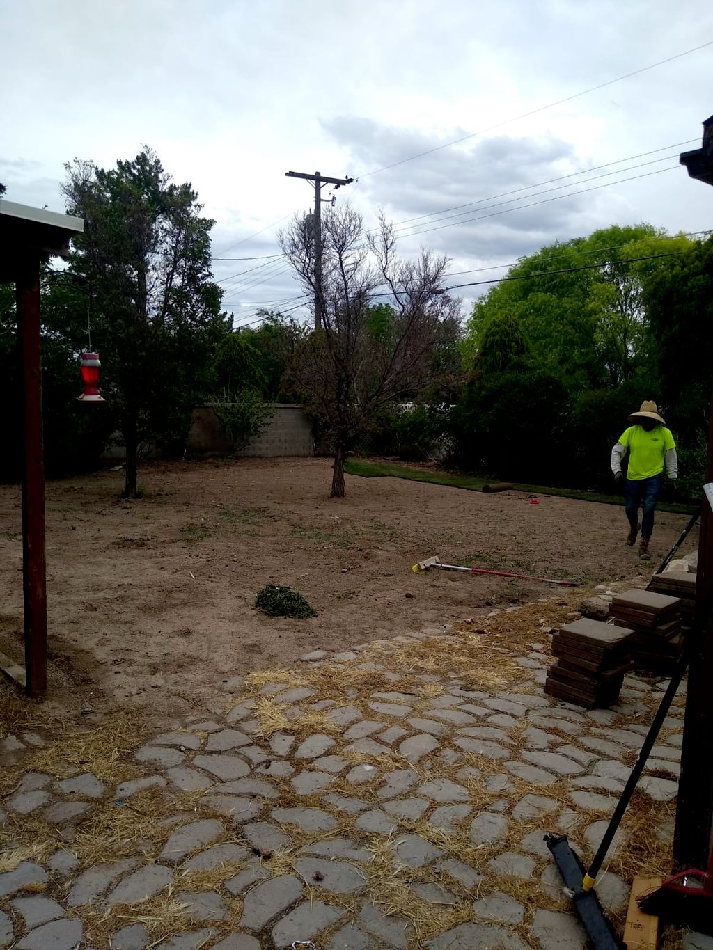 Projects and media
