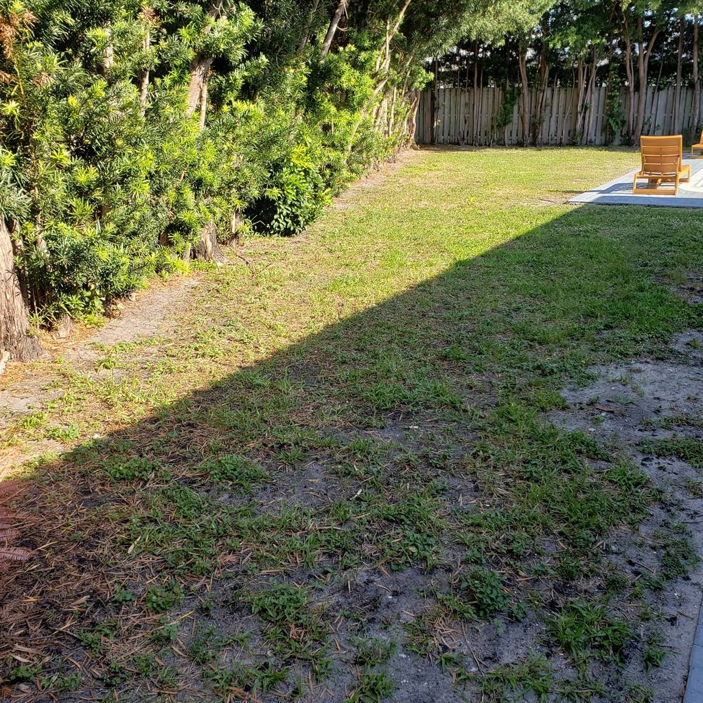 Sod Installation