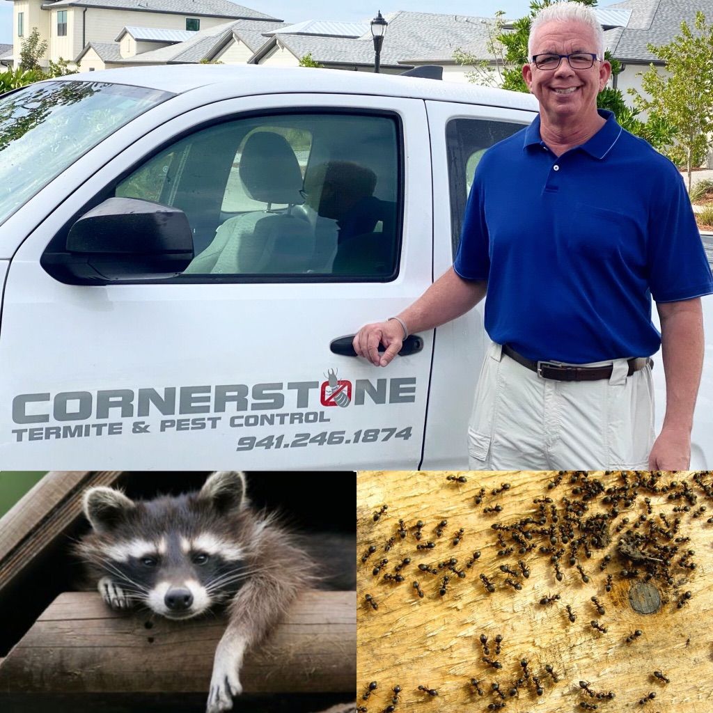 Cornerstone Termite & Pest Control