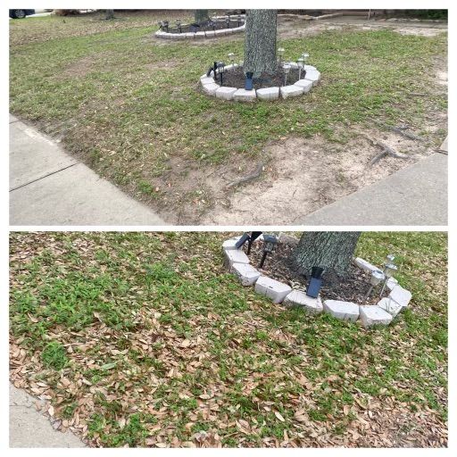Spring clean up 
