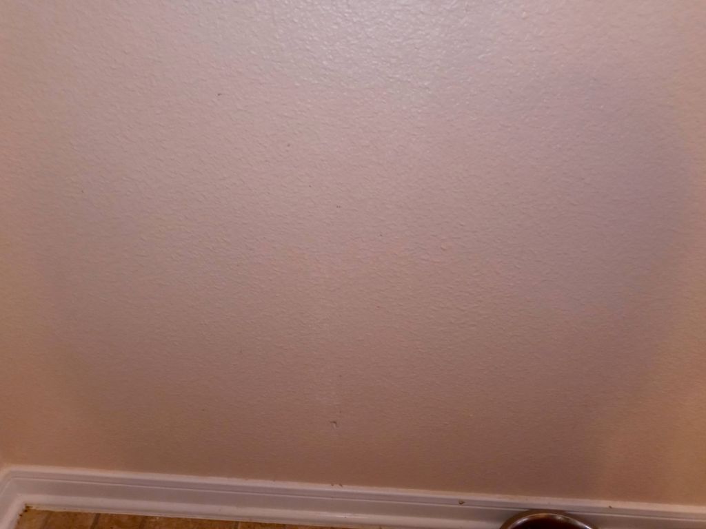 wall cleaning