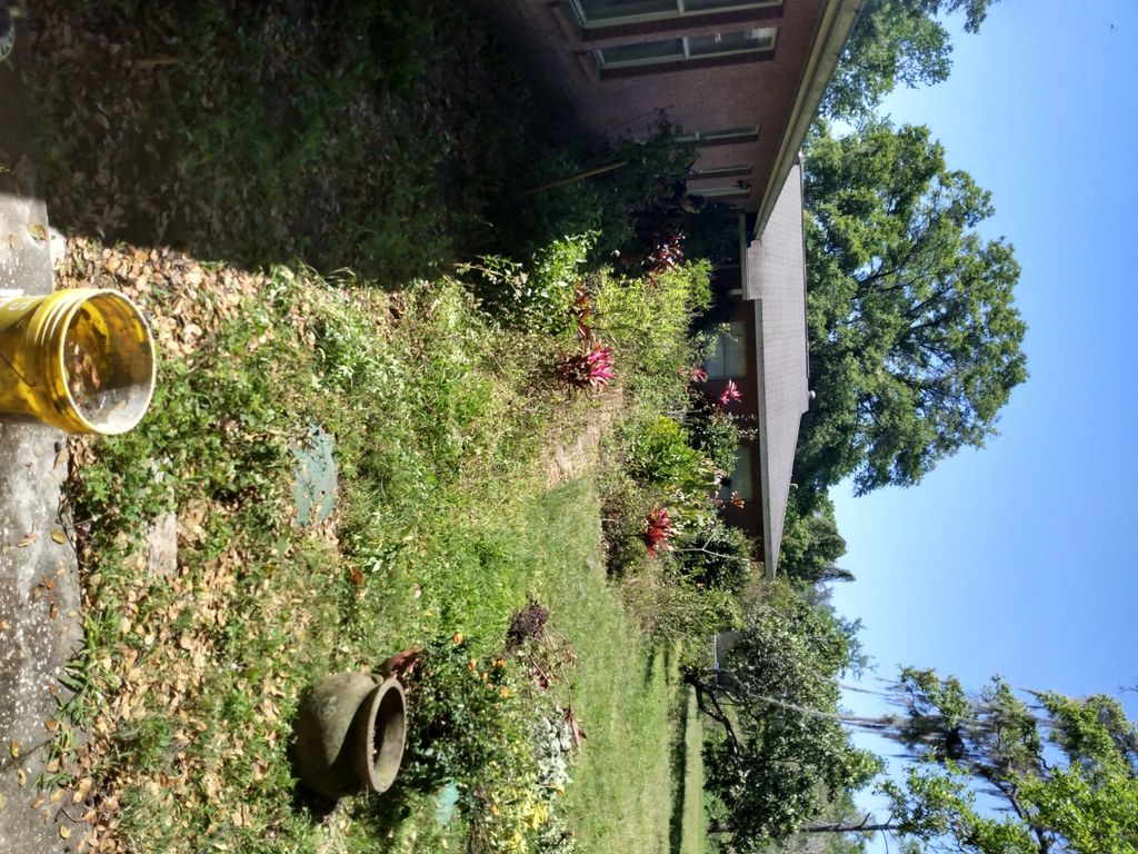 D & D Pressure Washing And More Llc Gibsonton, FL