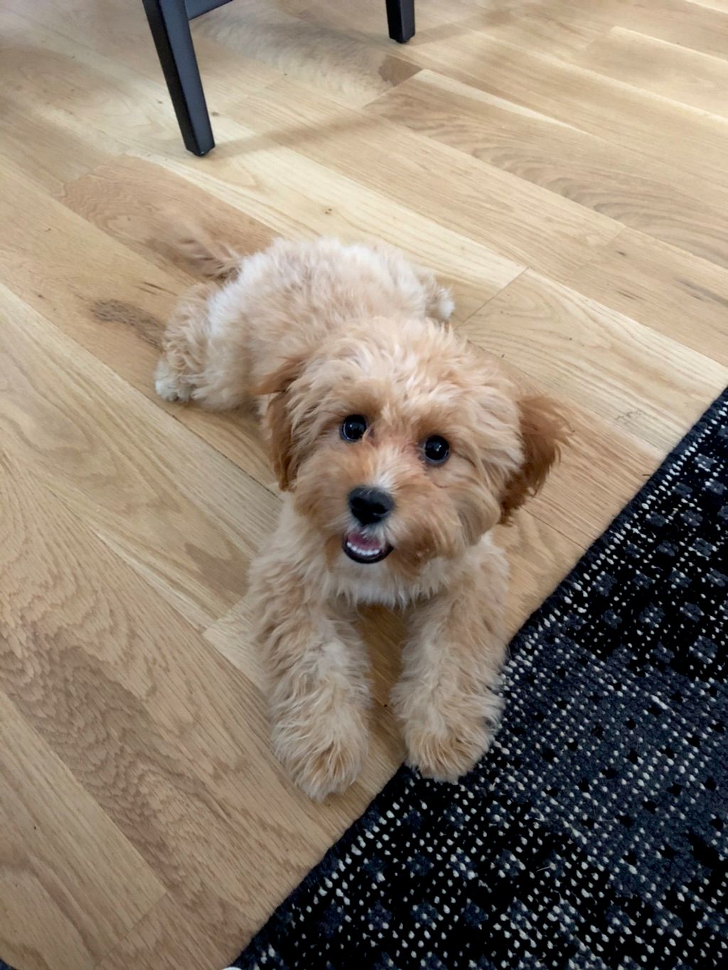 So photogenic 🦴