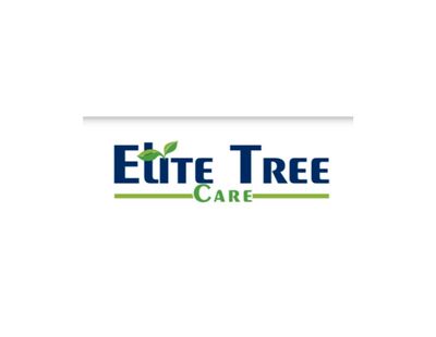 Avatar for Elite Tree Care