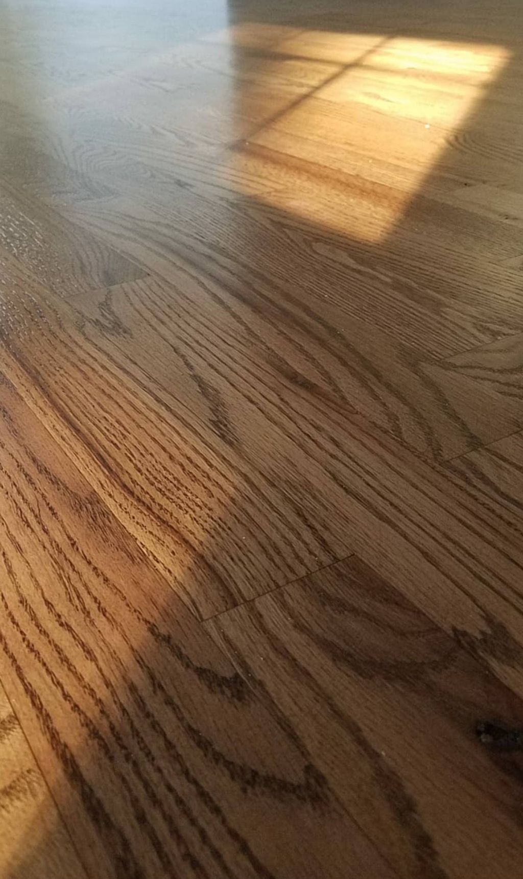 Westwood NJ  Wood Floor refinish, Natural Oil fini