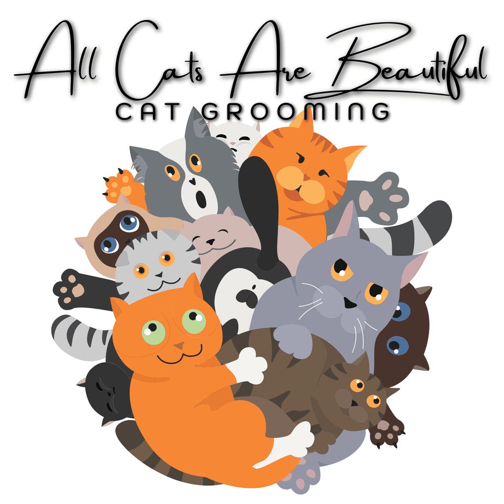 Whiskers & Paws Pet Care