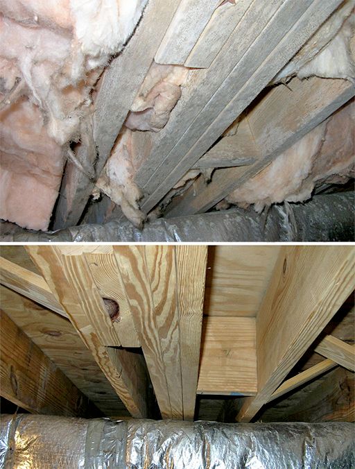 Mold Before and After