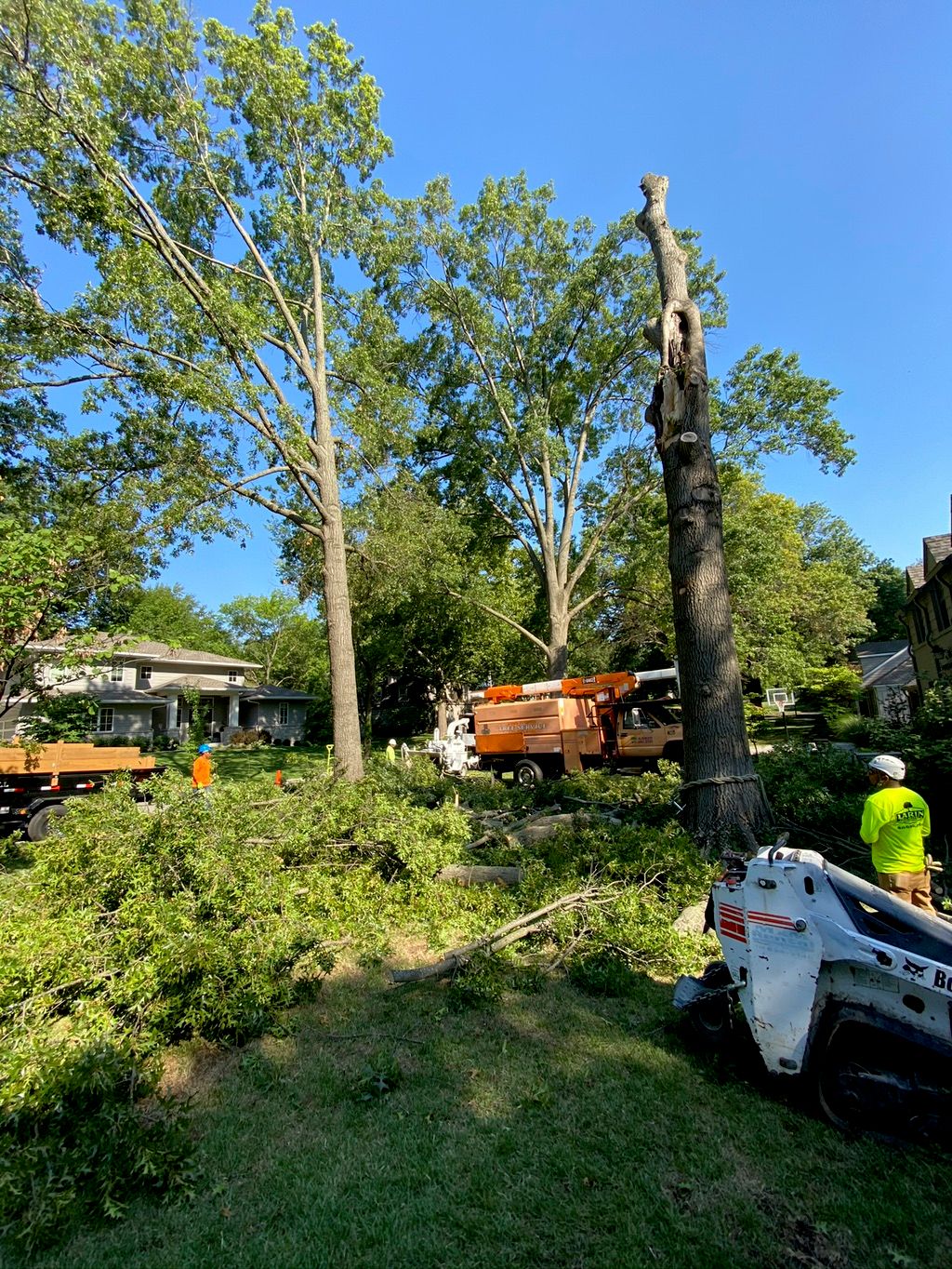 Larin tree service