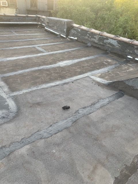 Roof Repair or Maintenance