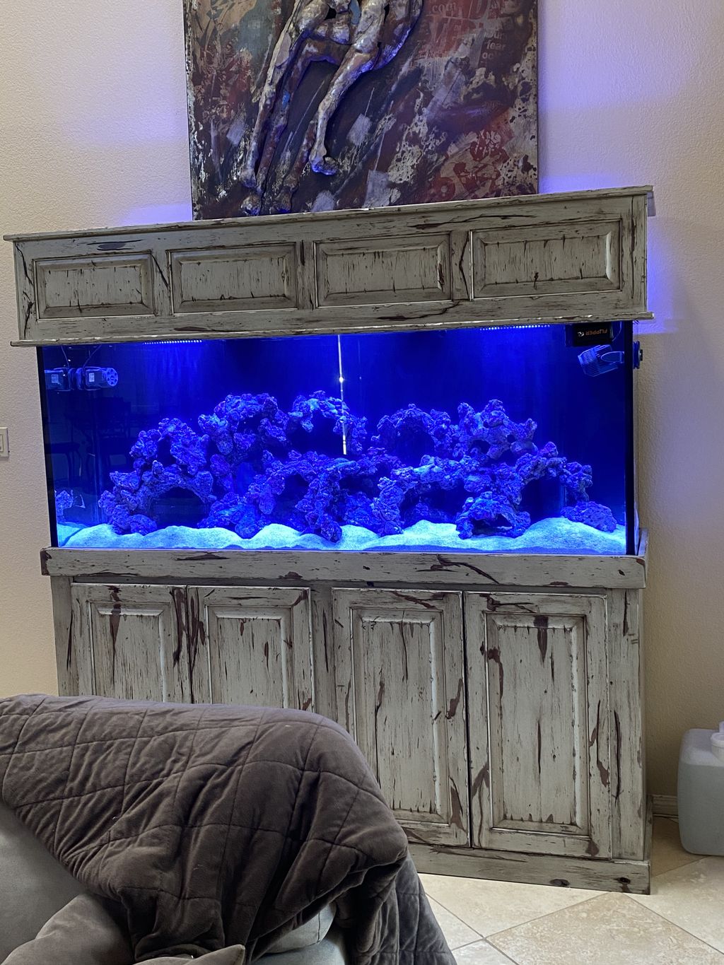 Aquarium Services