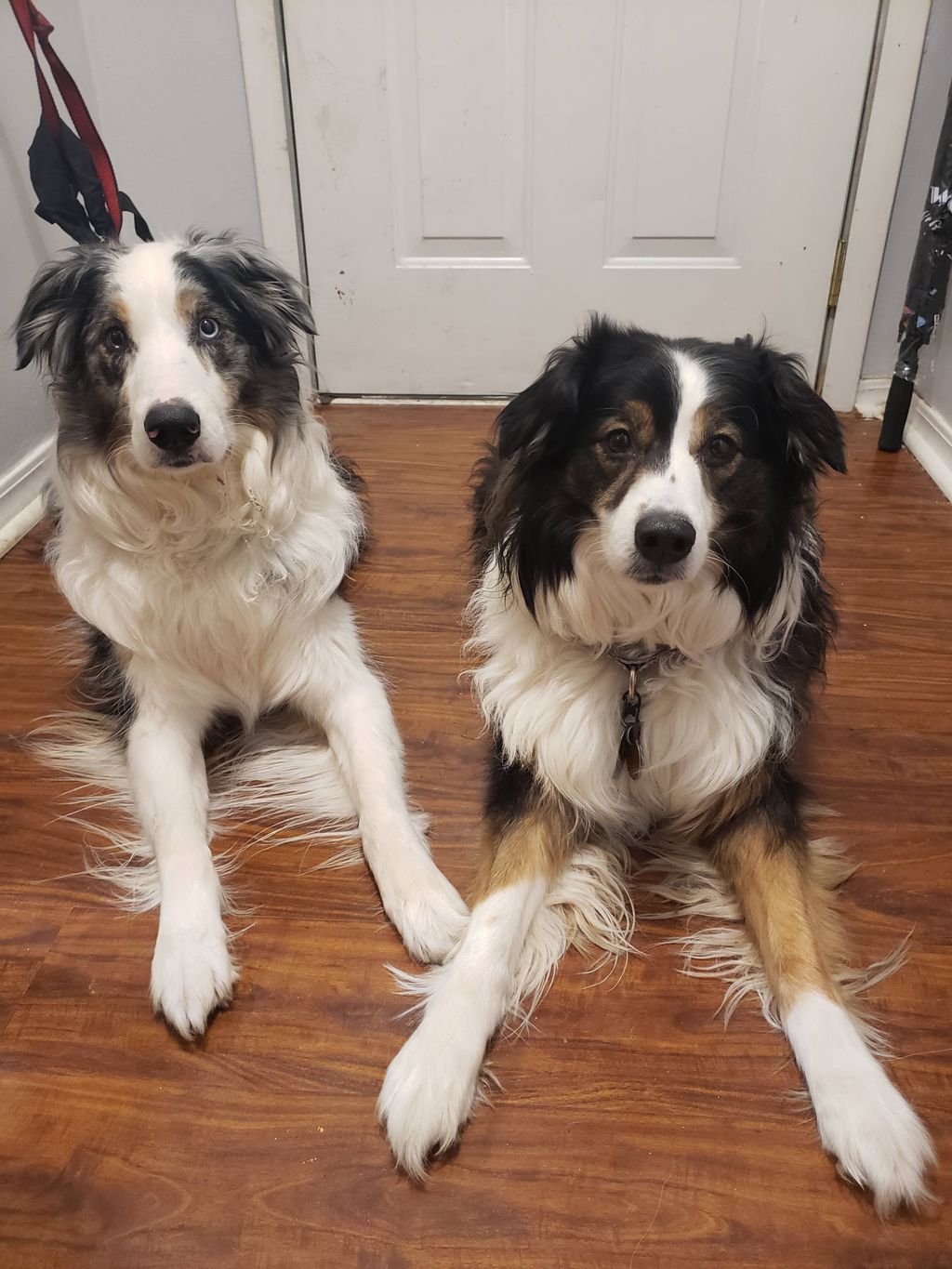 Customer photos